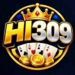 HI309 Game